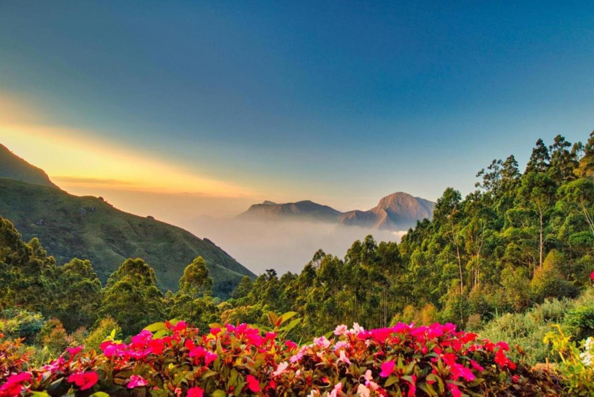Chandys Drizzle Drops - Munnar Top Station ภายนอก รูปภาพ